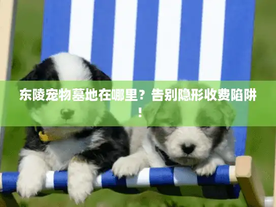 东陵宠物墓地在哪里？告别隐形收费陷阱！