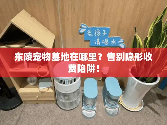 东陵宠物墓地在哪里？告别隐形收费陷阱！