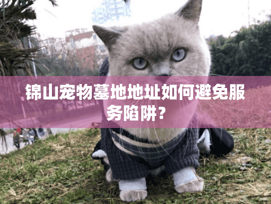 锦山宠物墓地地址如何避免服务陷阱？
