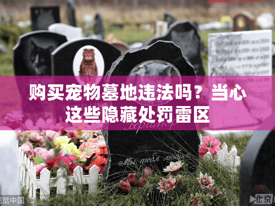 购买宠物墓地违法吗？当心这些隐藏处罚雷区