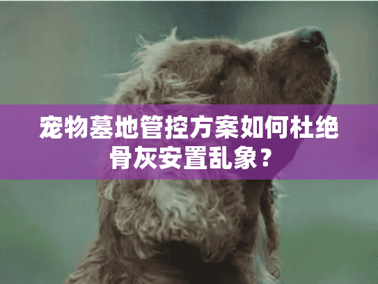 宠物墓地管控方案如何杜绝骨灰安置乱象？