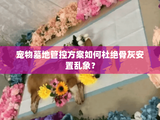 宠物墓地管控方案如何杜绝骨灰安置乱象？