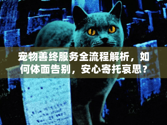 宠物善终服务全流程解析,如何体面告别,安心寄托哀思? 宠物善终服务全流程解析,如何体面告别,安心寄托哀思?