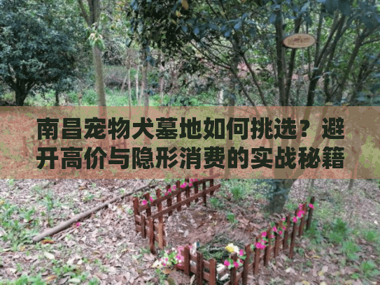 南昌宠物犬墓地如何挑选？避开高价与隐形消费的实战秘籍
