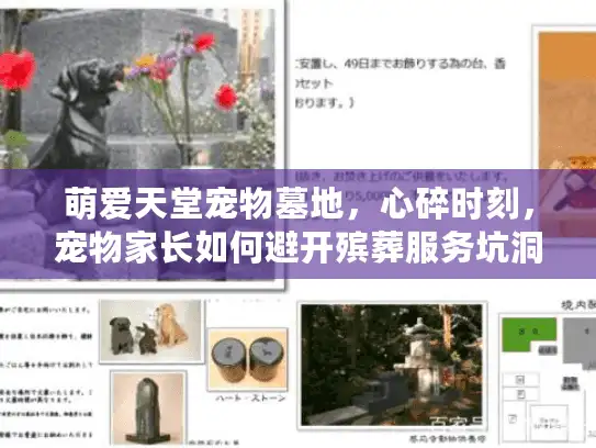 萌爱天堂宠物墓地，心碎时刻，宠物家长如何避开殡葬服务坑洞？