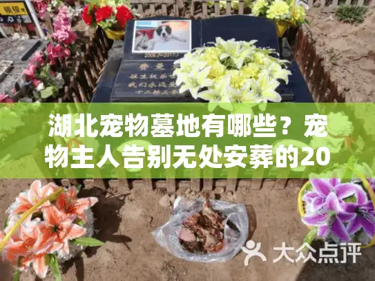 湖北宠物墓地有哪些？宠物主人告别无处安葬的2025稀缺方案