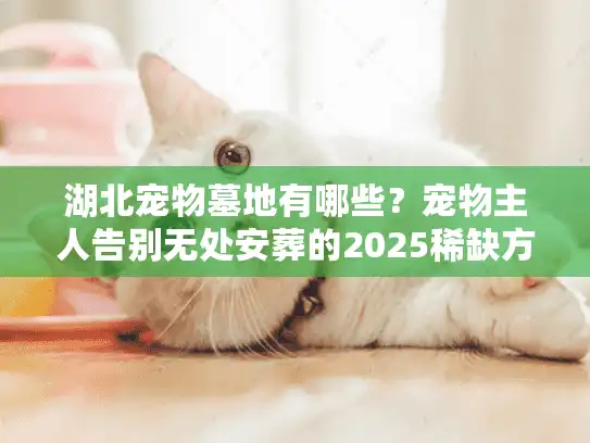 湖北宠物墓地有哪些？宠物主人告别无处安葬的2025稀缺方案