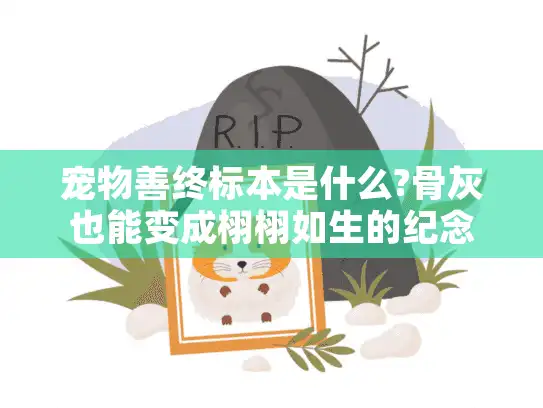 宠物善终标本是什么?骨灰也能变成栩栩如生的纪念品吗?