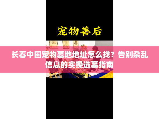 长春中国宠物墓地地址怎么找?告别杂乱信息的实操选墓指南 长春中国宠物墓地地址怎么找?告别杂乱信息的实操选墓指南