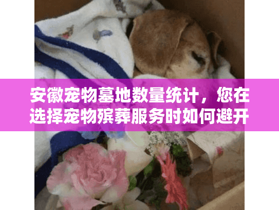 安徽宠物墓地数量统计，您在选择宠物殡葬服务时如何避开高价和虚假陷阱？