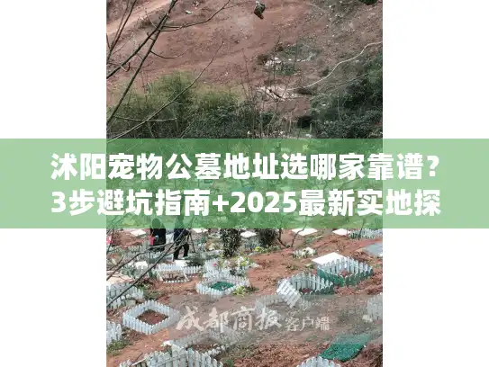 沭阳宠物公墓地址选哪家靠谱？3步避坑指南+2025最新实地探访