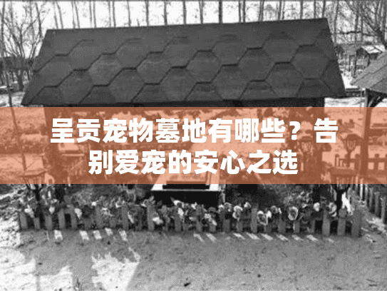 呈贡宠物墓地有哪些?告别爱宠的安心之选 呈贡宠物墓地有哪些?告别爱宠的安心之选