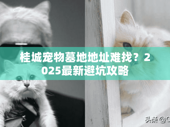 桂城宠物墓地地址难找？2025最新避坑攻略
