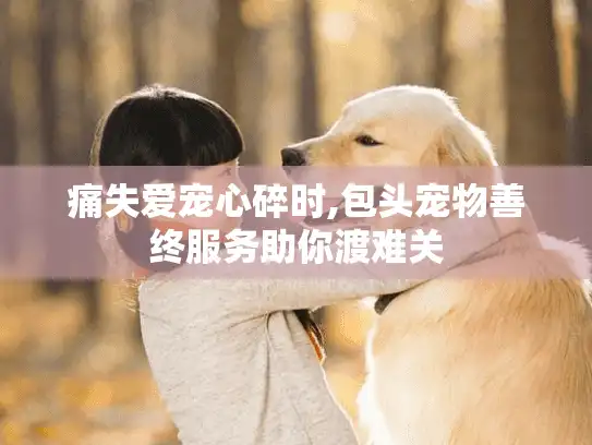 痛失爱宠心碎时,包头宠物善终服务助你渡难关
