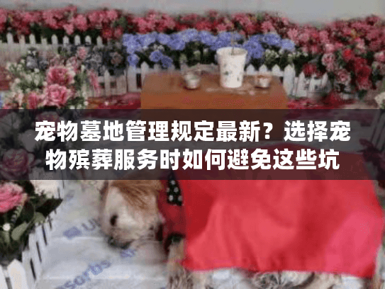 宠物墓地管理规定最新？选择宠物殡葬服务时如何避免这些坑