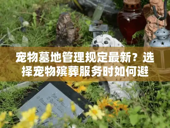 宠物墓地管理规定最新？选择宠物殡葬服务时如何避免这些坑