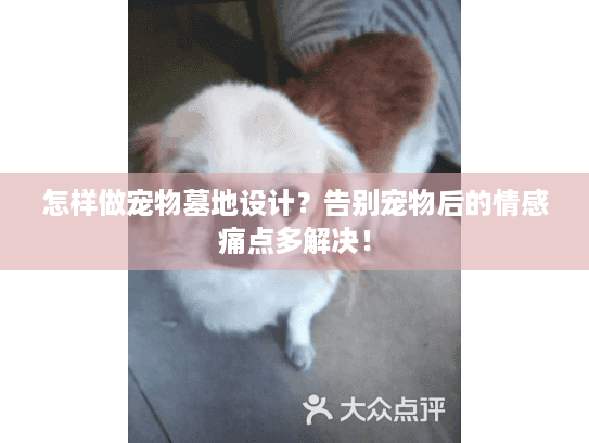 怎样做宠物墓地设计?告别宠物后的情感痛点多解决! 怎样做宠物墓地设计?告别宠物后的情感痛点多解决!