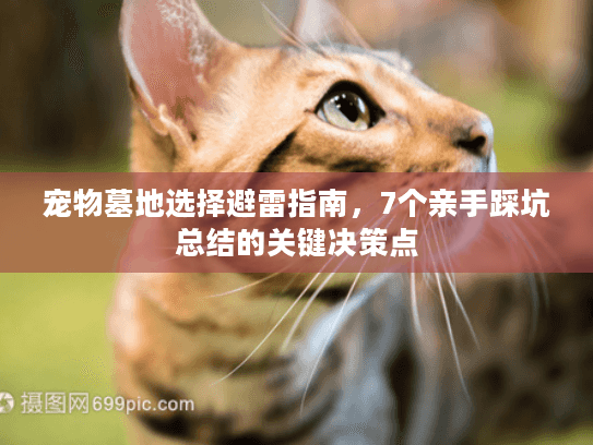 宠物墓地选择避雷指南，7个亲手踩坑总结的关键决策点