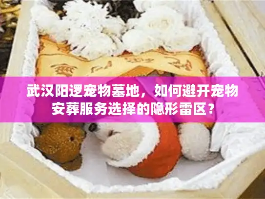 武汉阳逻宠物墓地，如何避开宠物安葬服务选择的隐形雷区？