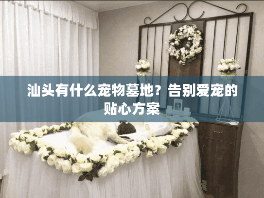 汕头有什么宠物墓地?告别爱宠的贴心方案 汕头有什么宠物墓地?告别爱宠的贴心方案