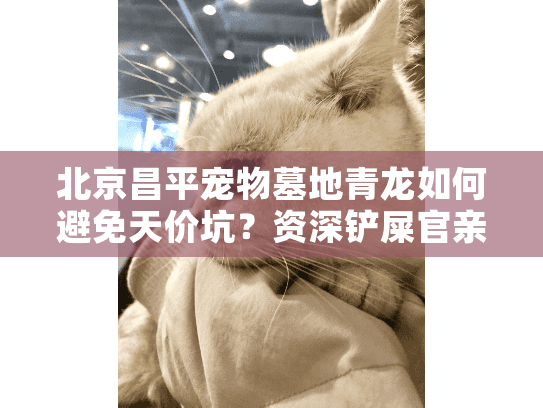 北京昌平宠物墓地青龙如何避免天价坑?资深铲屎官亲述避雷全流程 北京昌平宠物墓地青龙如何避免天价坑?资深铲屎官亲述避雷全流程