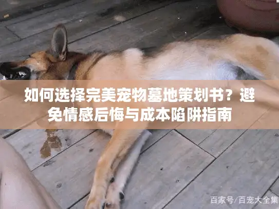 如何选择完美宠物墓地策划书?避免情感后悔与成本陷阱指南 如何选择完美宠物墓地策划书?避免情感后悔与成本陷阱指南