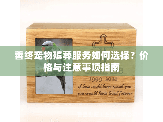 善终宠物殡葬服务如何选择？价格与注意事项指南