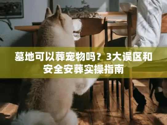 墓地可以葬宠物吗?3大误区和安全安葬实操指南 墓地可以葬宠物吗?3大误区和安全安葬实操指南
