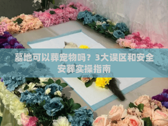 墓地可以葬宠物吗?3大误区和安全安葬实操指南 墓地可以葬宠物吗?3大误区和安全安葬实操指南