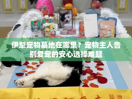 伊犁宠物墓地在哪里？宠物主人告别爱宠的安心选择难题