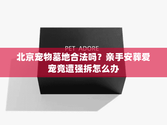 北京宠物墓地合法吗？亲手安葬爱宠竟遭强拆怎么办