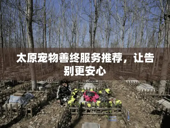 太原宠物善终服务推荐，让告别更安心
