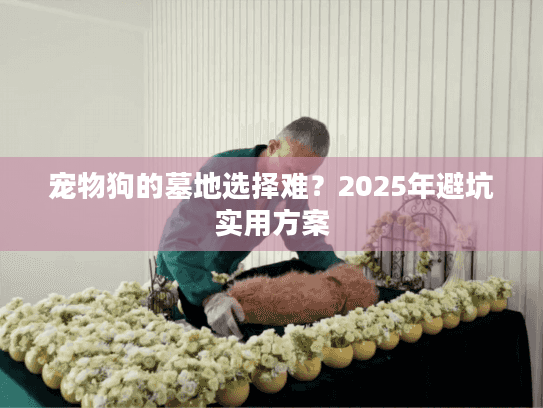 宠物狗的墓地选择难？2025年避坑实用方案