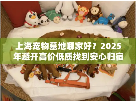 上海宠物墓地哪家好？2025年避开高价低质找到安心归宿