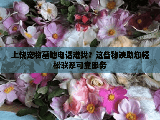 上饶宠物墓地电话难找？这些秘诀助您轻松联系可靠服务