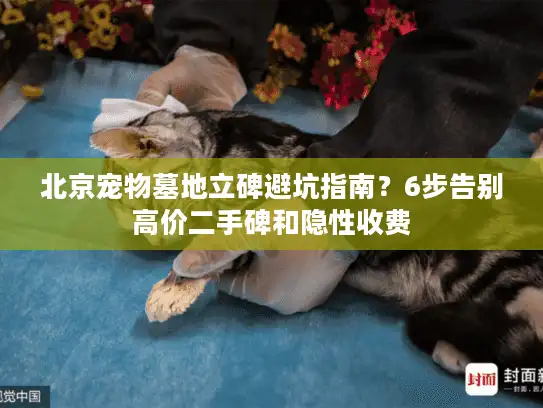 北京宠物墓地立碑避坑指南？6步告别高价二手碑和隐性收费