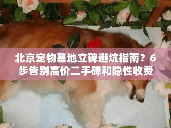 北京宠物墓地立碑避坑指南？6步告别高价二手碑和隐性收费