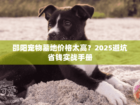 邵阳宠物墓地价格太高？2025避坑省钱实战手册