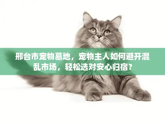 邢台市宠物墓地，宠物主人如何避开混乱市场，轻松选对安心归宿？