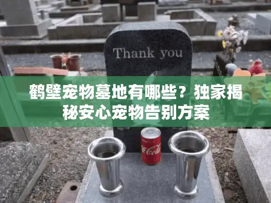 鹤壁宠物墓地有哪些?独家揭秘安心宠物告别方案 鹤壁宠物墓地有哪些?独家揭秘安心宠物告别方案