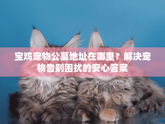 宝鸡宠物公墓地址在哪里？解决宠物告别困扰的安心答案