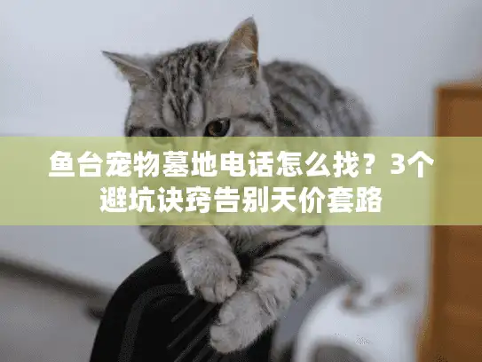 鱼台宠物墓地电话怎么找？3个避坑诀窍告别天价套路