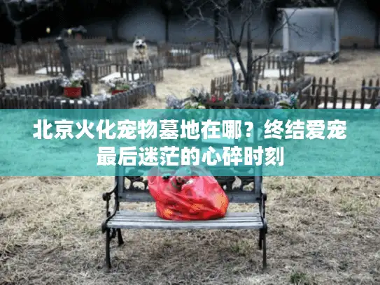 北京火化宠物墓地在哪?终结爱宠最后迷茫的心碎时刻 北京火化宠物墓地在哪?终结爱宠最后迷茫的心碎时刻