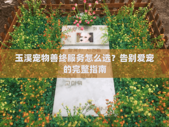 玉溪宠物善终服务怎么选？告别爱宠的完整指南