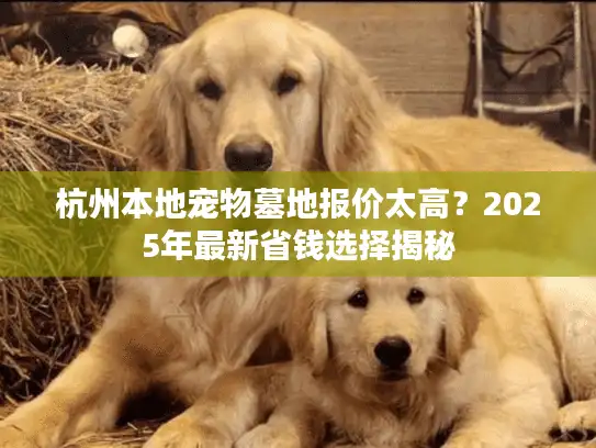 杭州本地宠物墓地报价太高？2025年最新省钱选择揭秘
