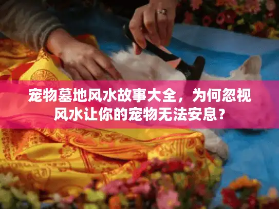 宠物墓地风水故事大全,为何忽视风水让你的宠物无法安息? 宠物墓地风水故事大全,为何忽视风水让你的宠物无法安息?