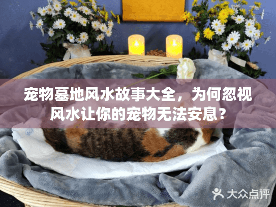 宠物墓地风水故事大全,为何忽视风水让你的宠物无法安息? 宠物墓地风水故事大全,为何忽视风水让你的宠物无法安息?
