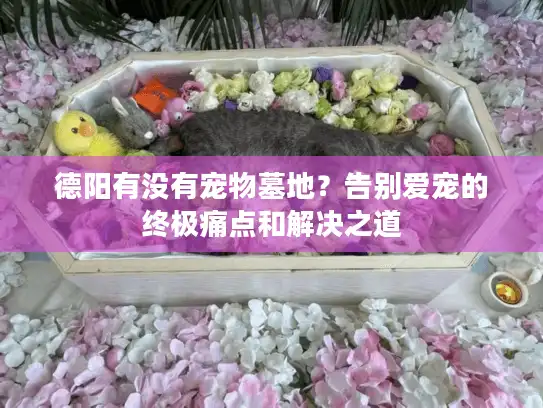 德阳有没有宠物墓地？告别爱宠的终极痛点和解决之道