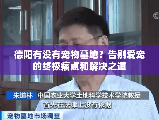 德阳有没有宠物墓地？告别爱宠的终极痛点和解决之道