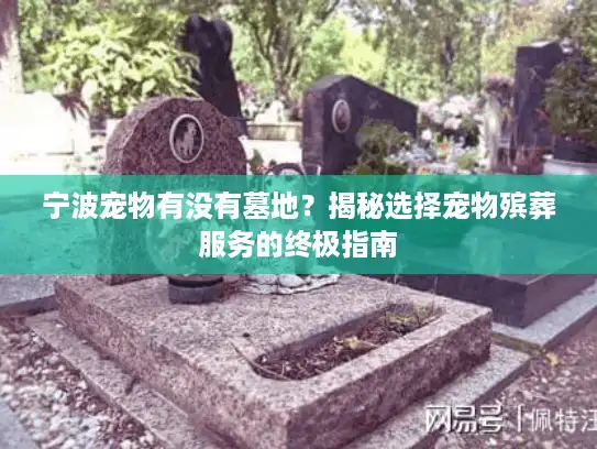 宁波宠物有没有墓地？揭秘选择宠物殡葬服务的终极指南